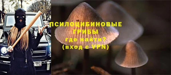 бутират Бородино