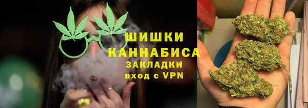 стафф Богородск