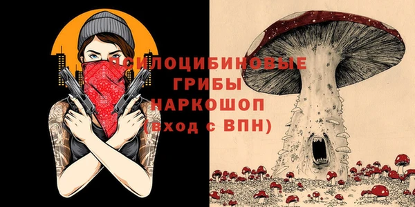 соль ск Бронницы