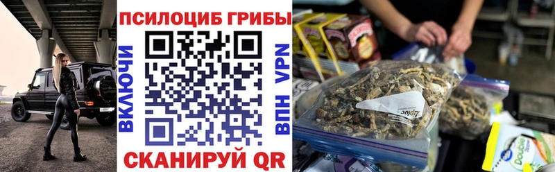 закладка  нарко площадка Telegram  Псилоцибиновые грибы Psilocybine cubensis  Колпашево  OMG ССЫЛКА 