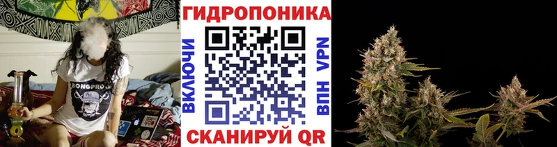 Конопля семена  наркотики  Колпашево 